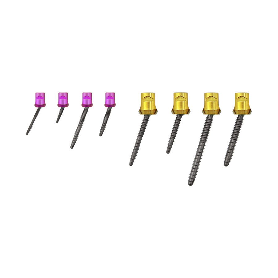 VSS Polyaxial Pedicle Screws