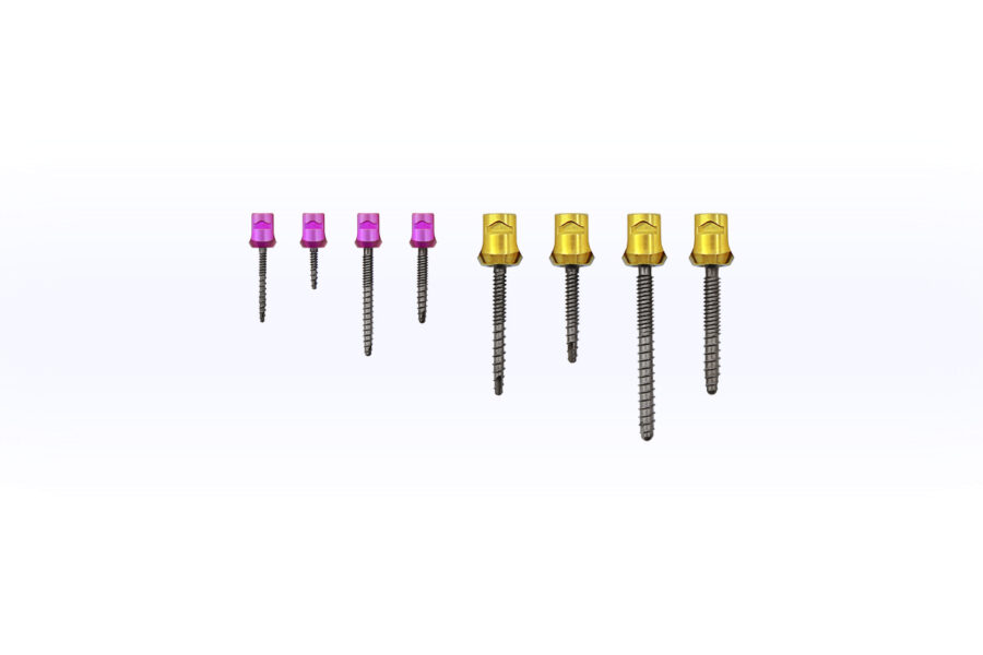 Spinal Fixation System