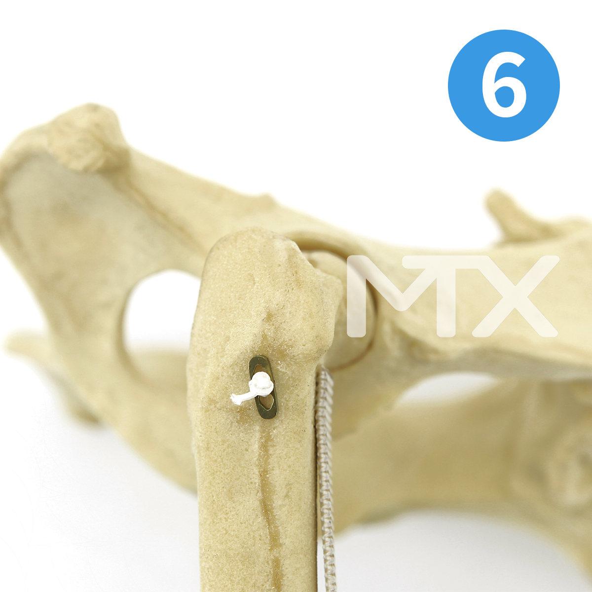 Universal Aim Device - Image 8